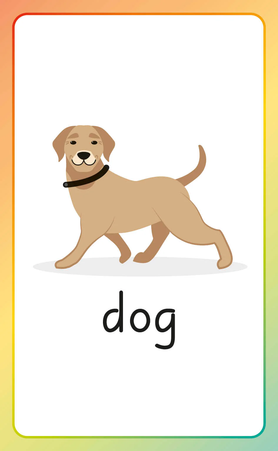 English for Everyone Junior English Alphabet Flash Cards - Image 6