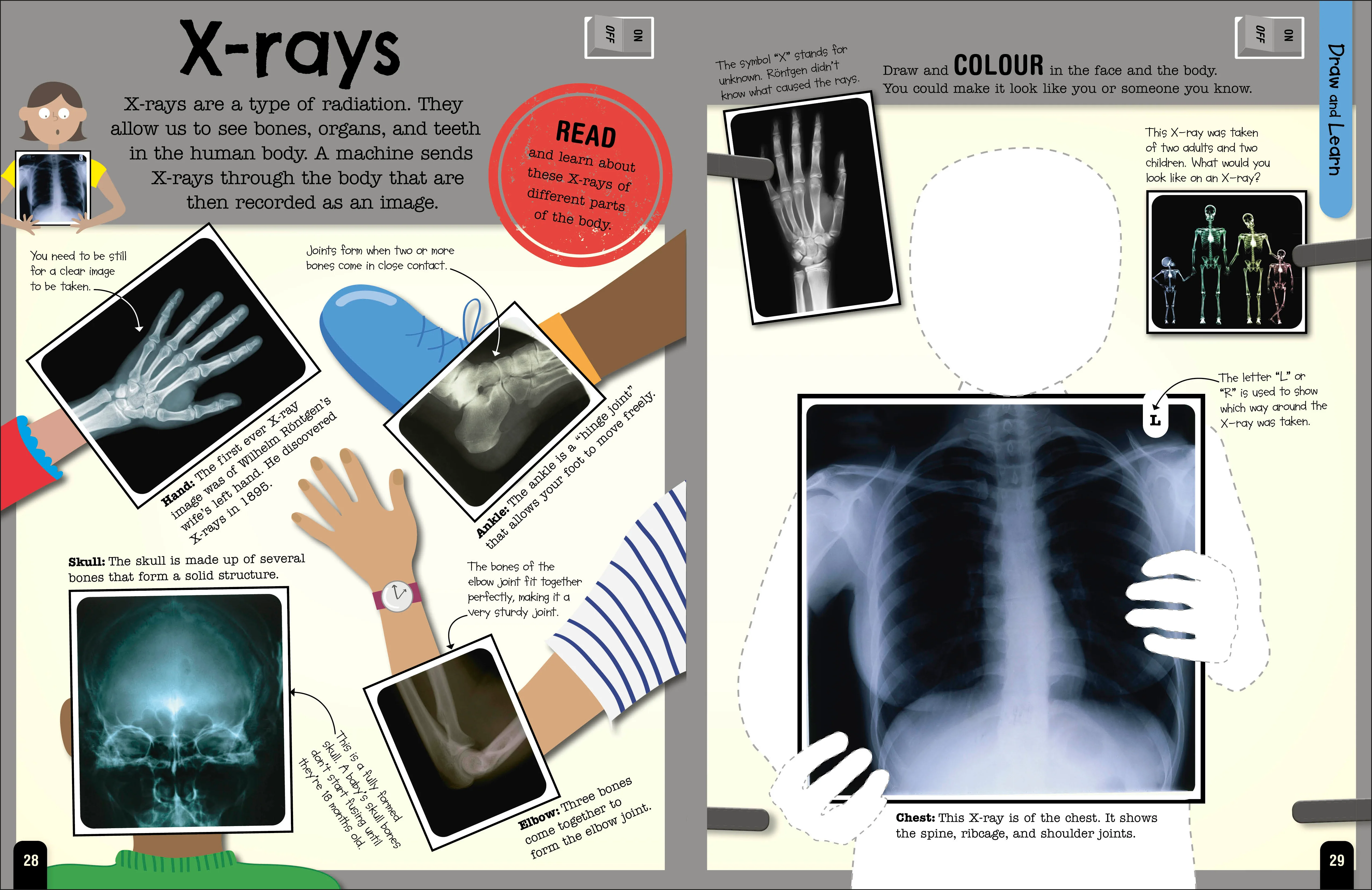 The Fact-Packed Activity Book: Human Body - Image 4