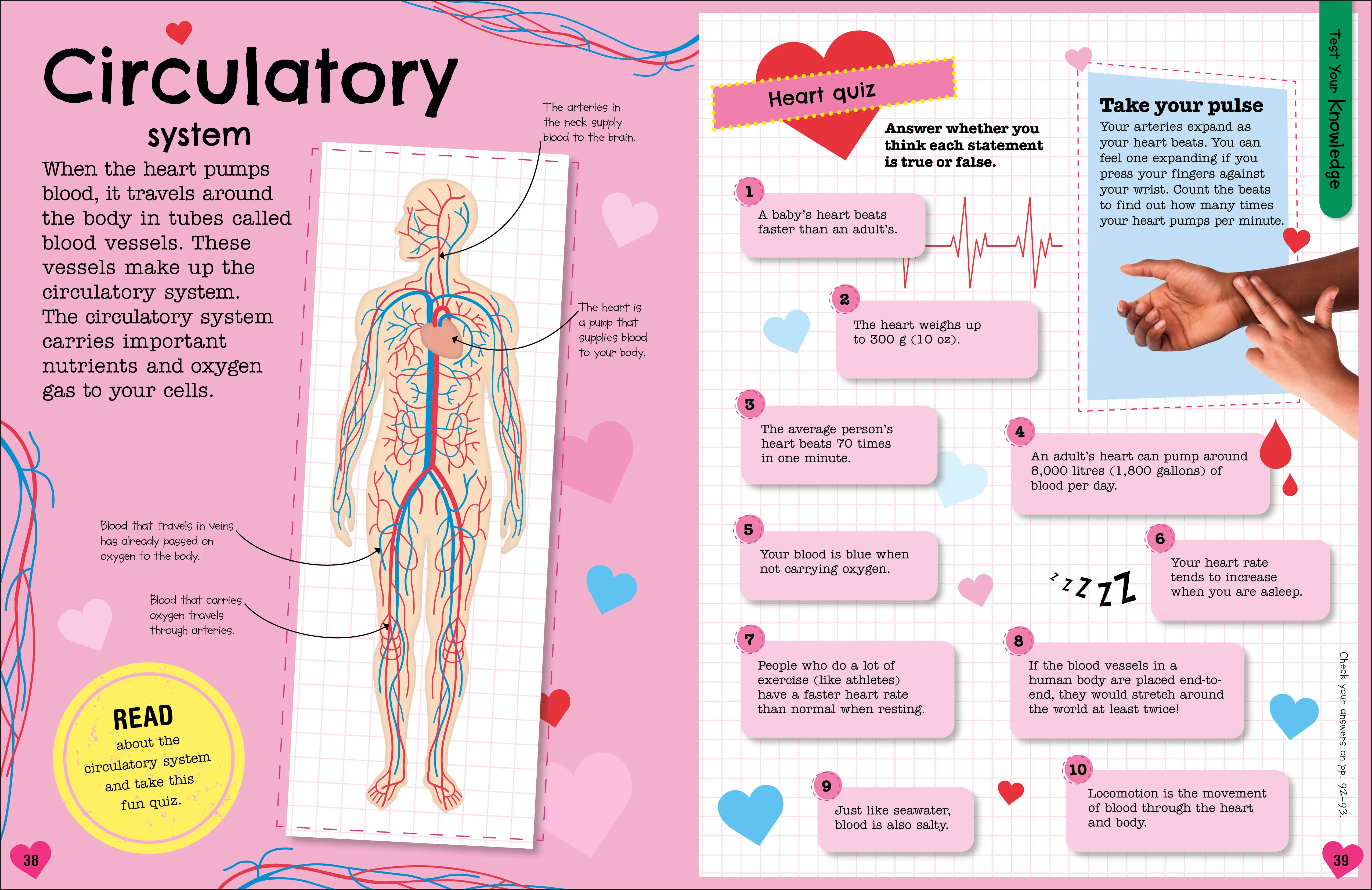 The Fact-Packed Activity Book: Human Body - Image 6