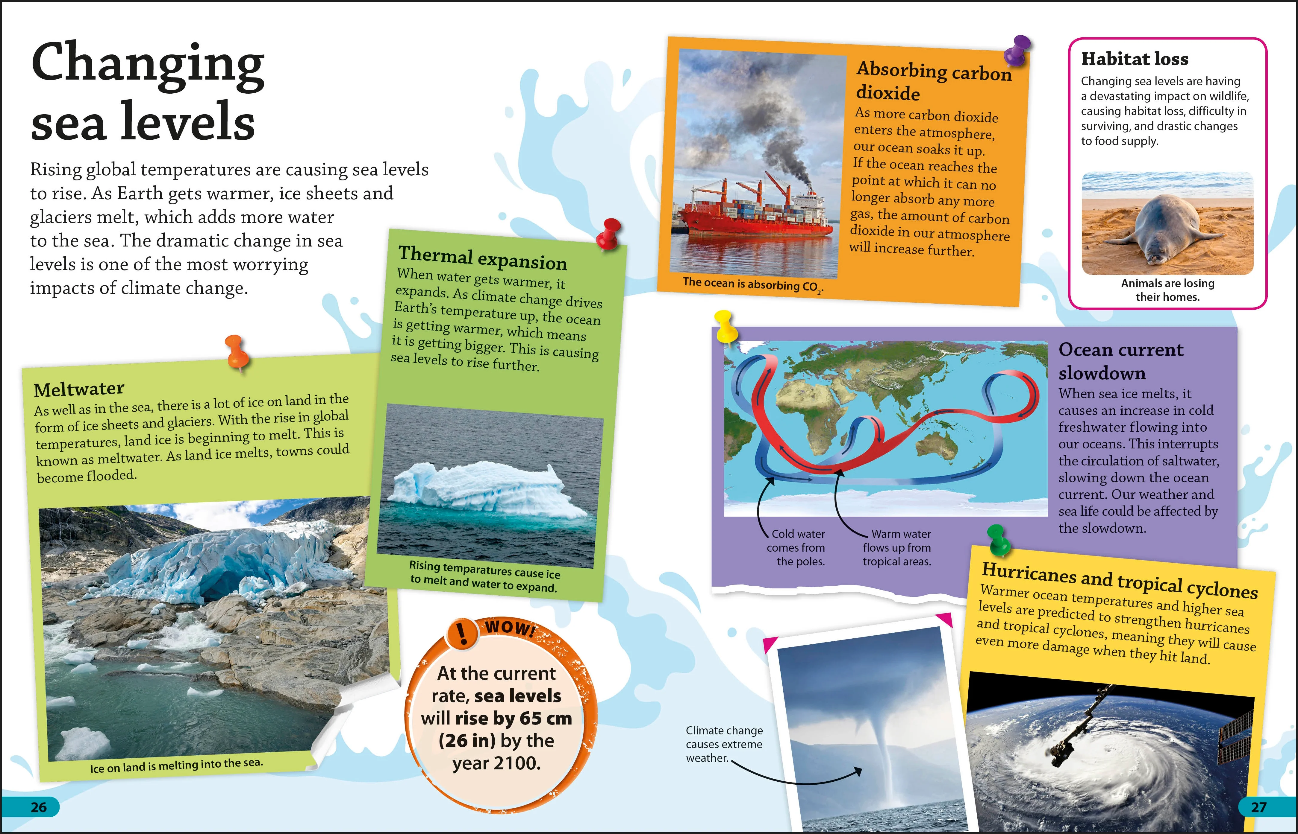 DK IB collection: Primary Years Programme (PYP) - Image 9