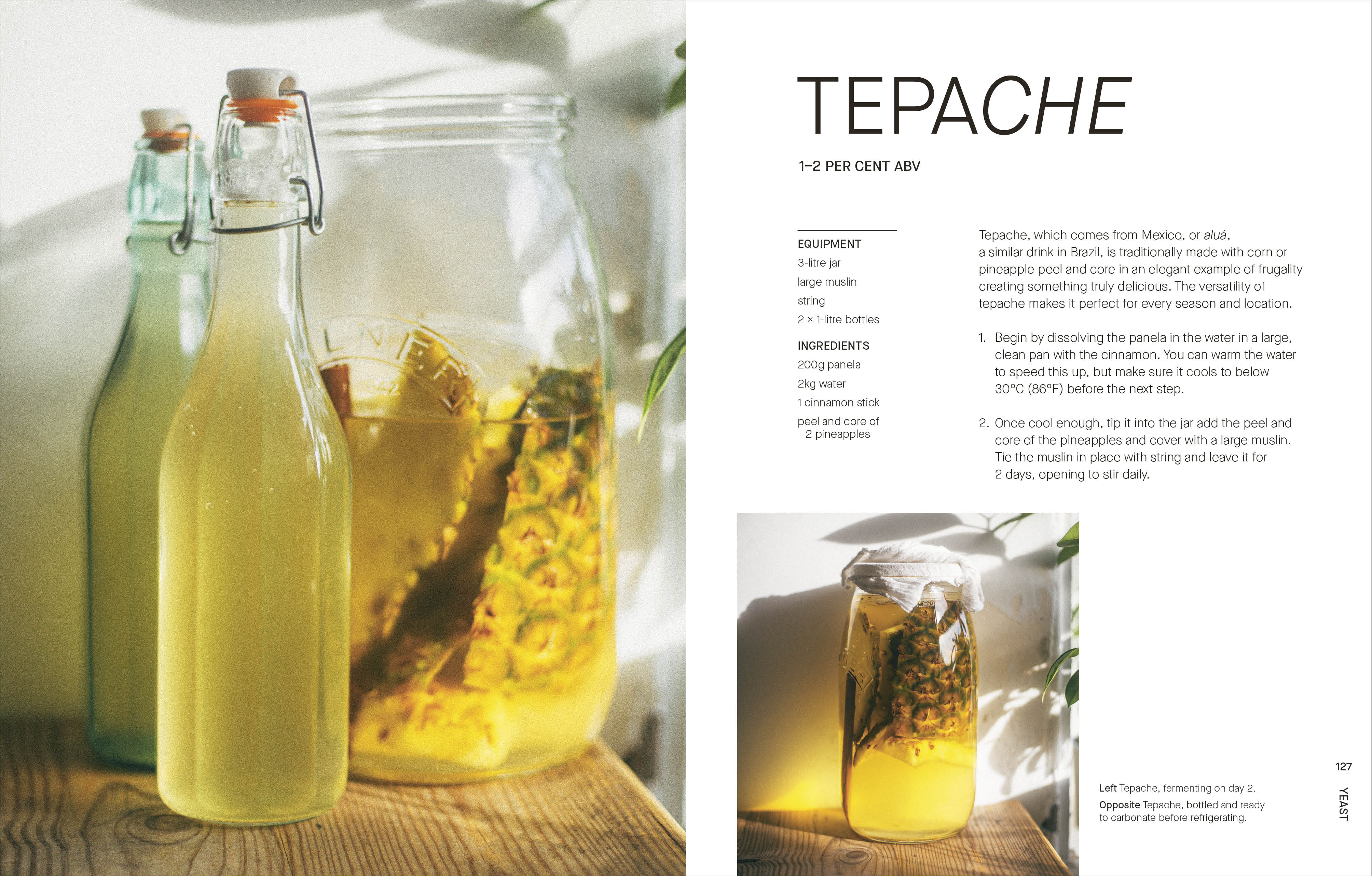 The Fermentation Kitchen - Image 3