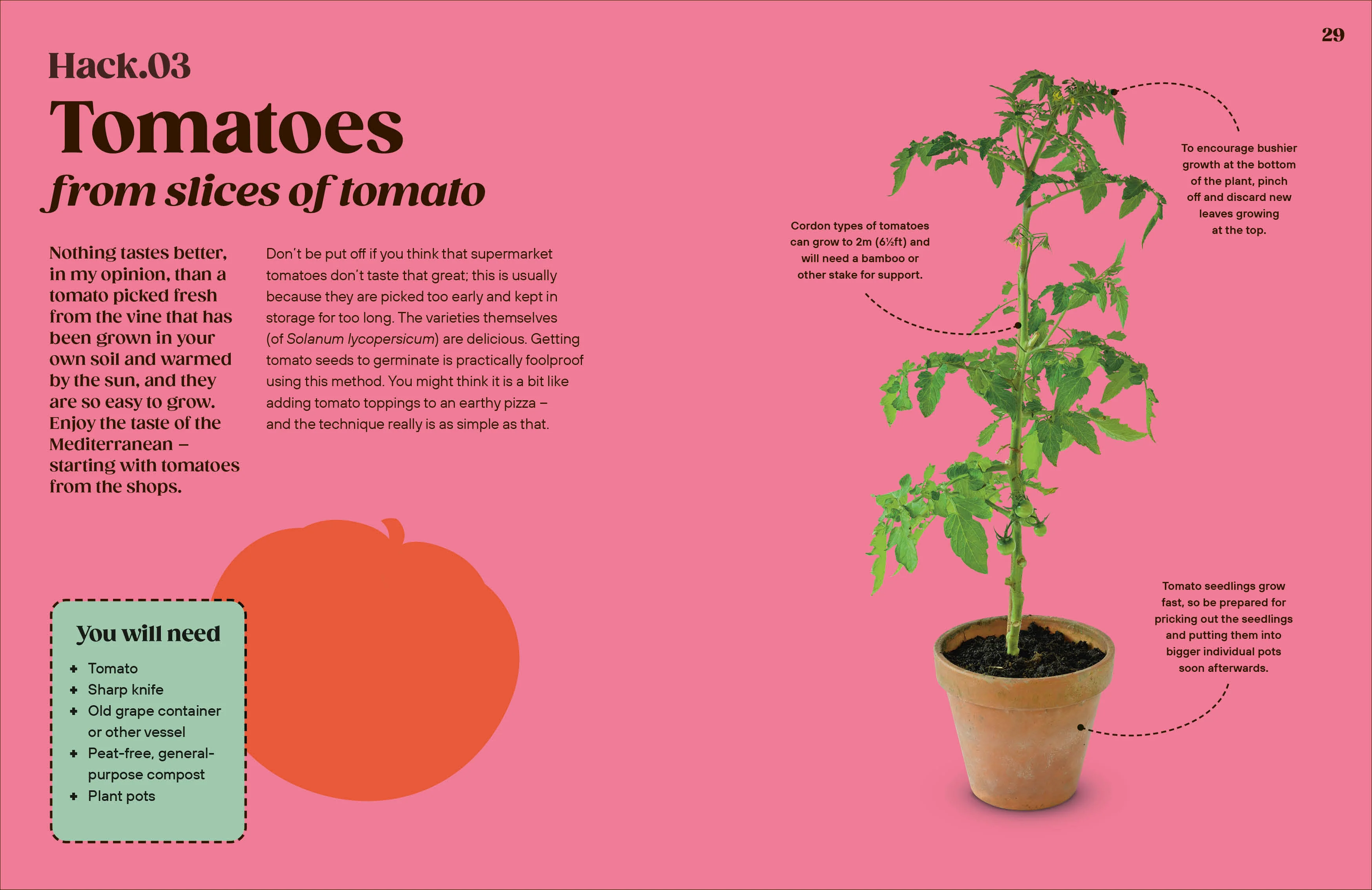 Grow Your Groceries - Image 3