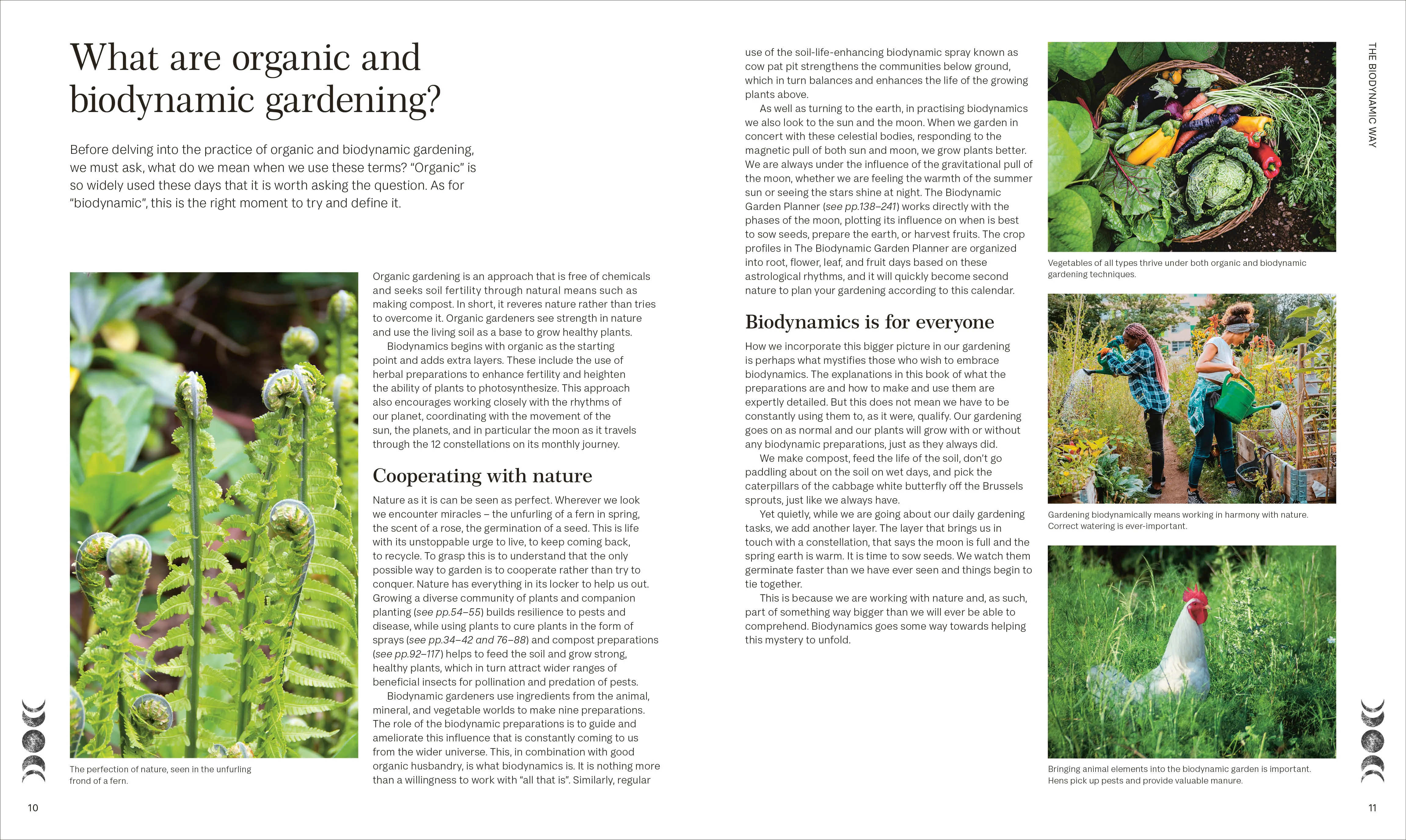 Biodynamic Gardening - Image 4