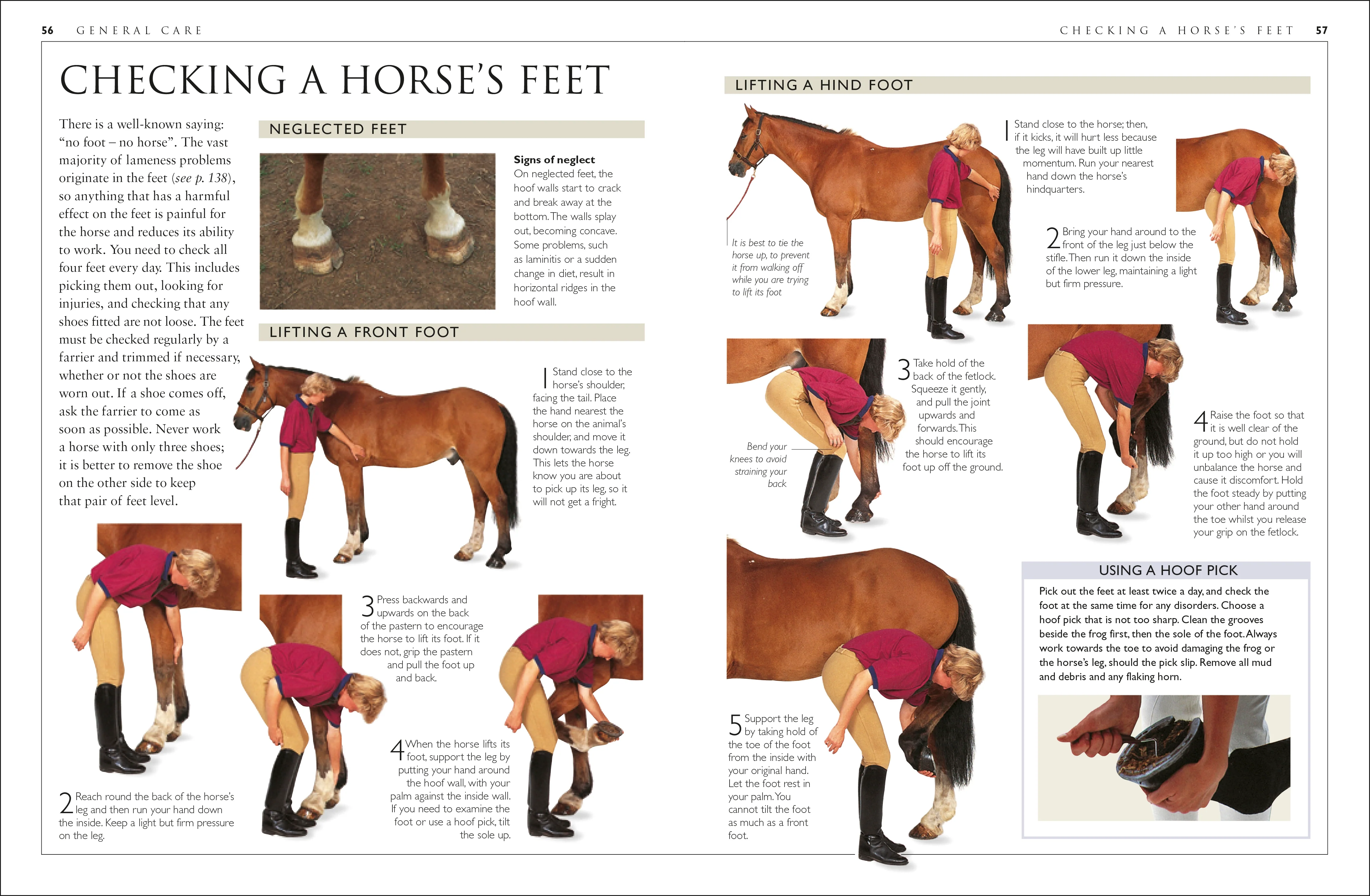 Complete Horse Care Manual - Image 9